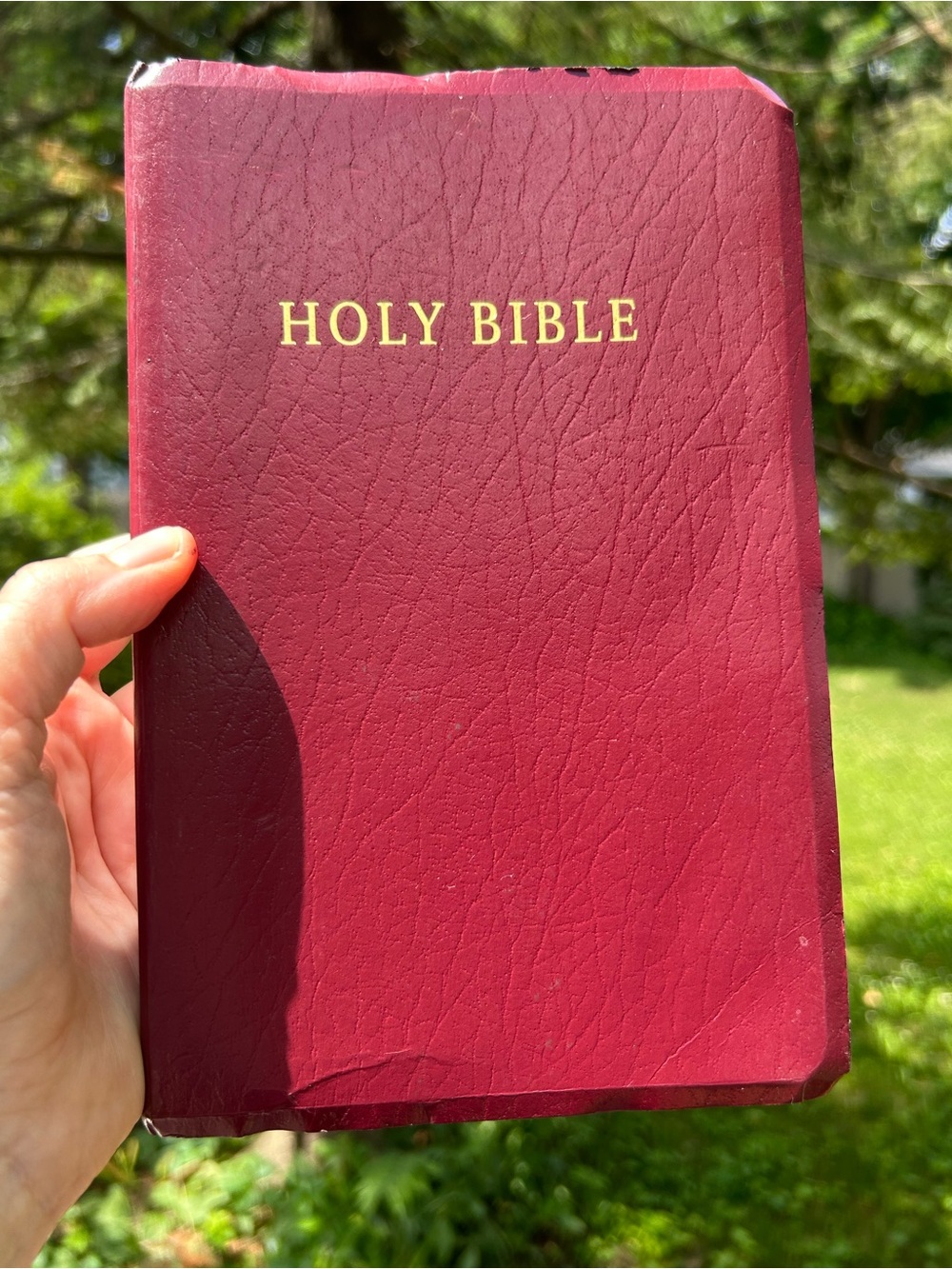Holy Bible Tyndale Burgundy New Living Translation Faux Leather Cover